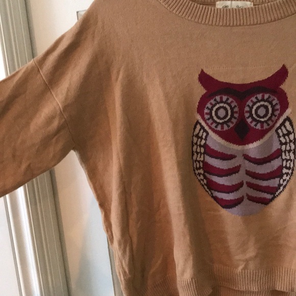 Brown sweater with maroon owl - Picture 2 of 4